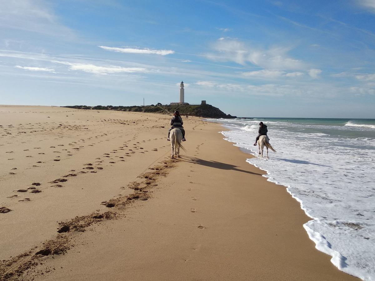 Viviendas Turisticas El Mero Саора Экстерьер фото